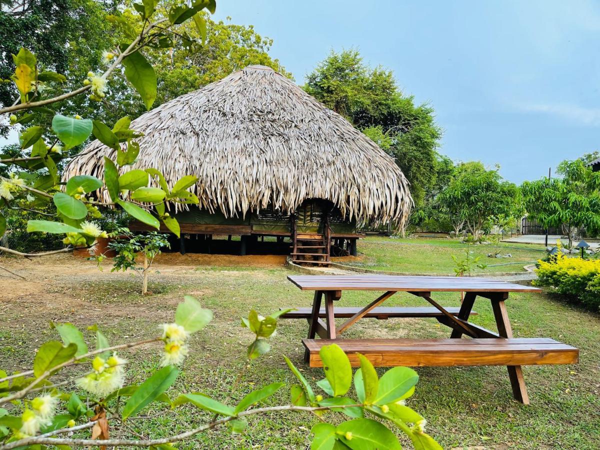 Yala Lake View Cabanas Tissamaharama Exterior photo